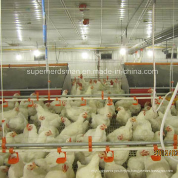 Ниппели цыплятины Потатора Оборудование для курицы (shn001)